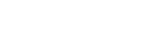 Wells Fargo logo in bold capitalized white text